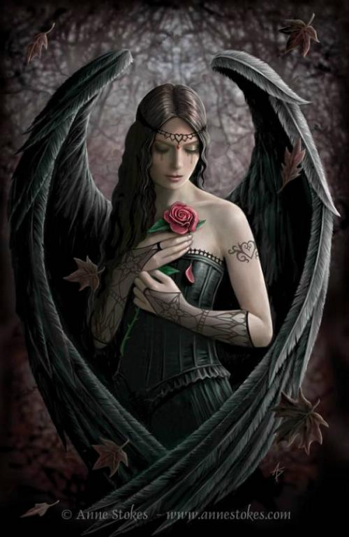 Angel Rosebig2